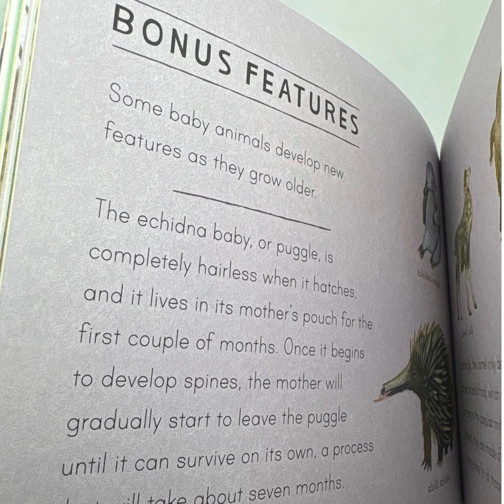 Things‎ That Grow Book Libby Walden Becca Stadtlander Childrens Education STEM